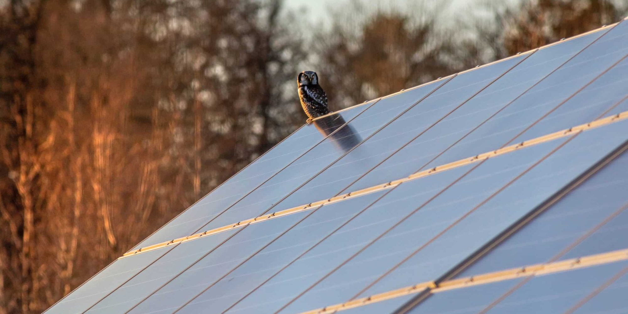 napelem telepítés